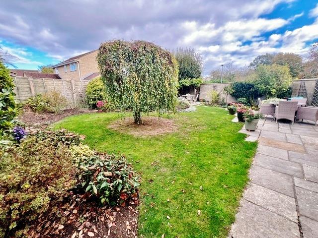garden 2.jpg